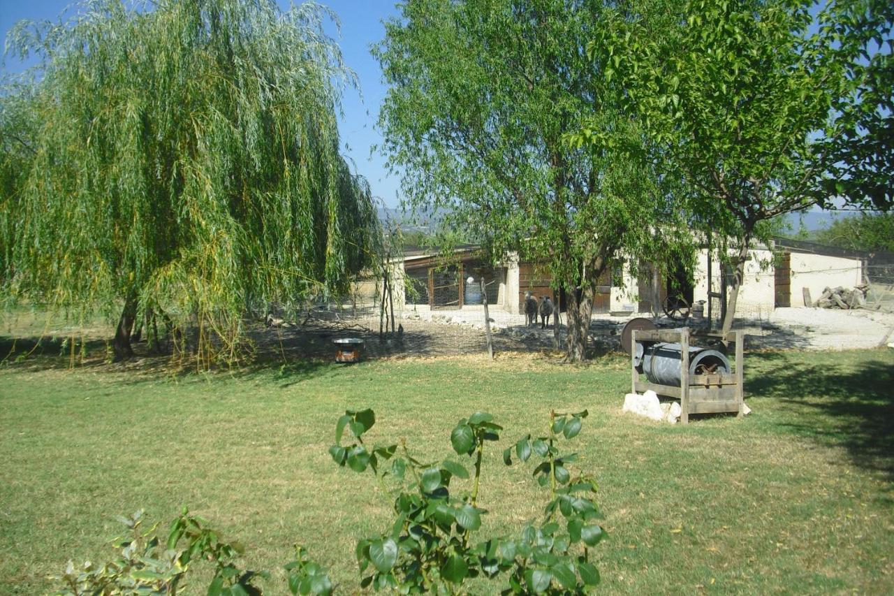 Lou Mas Li Pitchoun "L'Olivade" Διαμέρισμα Gordes Εξωτερικό φωτογραφία